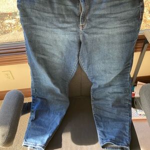 Lane Bryant Skinny Jean